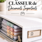 Un classeur organisé avec des documents importants bien rangés.