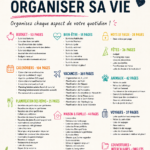 Un classeur d'organisation bien rangé avec des sections colorées et des étiquettes.