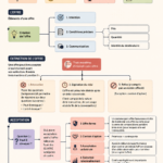 Plan d'étude efficace pour fac de droit avec des diagrammes illustrés